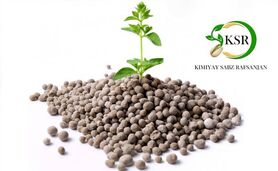 هم‌صدایی تولیدکنندگان کود سولفات آمونیوم