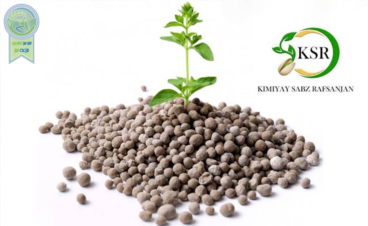 هم‌صدایی تولیدکنندگان کود سولفات آمونیوم