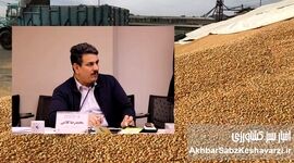 بن‌بست واردات نهاده‌های دامی؛ بازی با زمان و از دست رفتن میلیاردها تومان در بنادر ایران