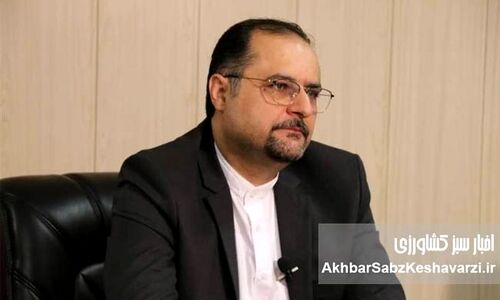 شوک عرضه نفتی: هدف اول بازار مواد غذایی