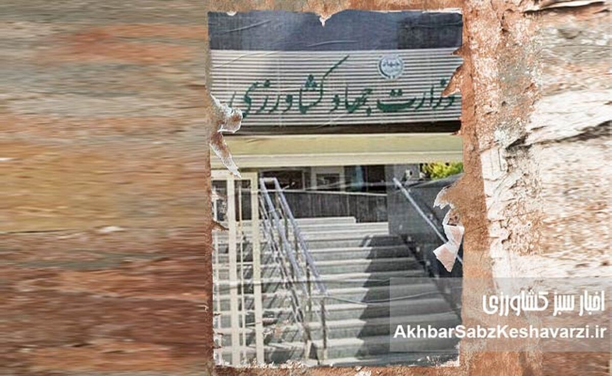 با سفارش عمه و خاله نمی‌شود کشور را اداره کرد؛ امنیت غذایی ملت بازیچه رفاقت نیست