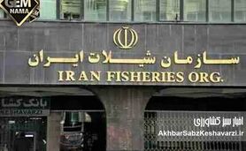 انحلال سازمان شیلات ایران؛ ضربه‌ای مهلک بر پیکره اقتصاد و امنیت غذایی کشور؟