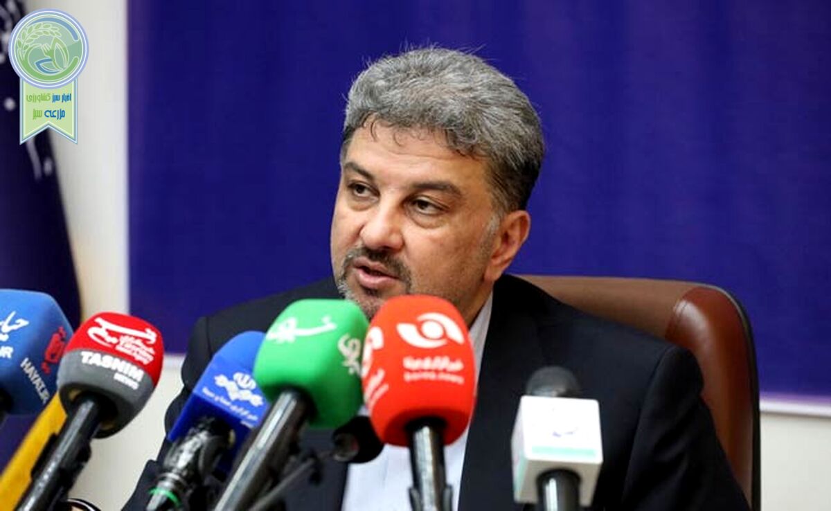 با برداشت غیرمجاز 3 هزار مگاوات برخورد می‌کنیم
