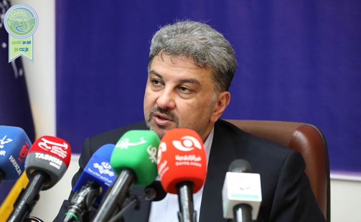 با برداشت غیرمجاز 3 هزار مگاوات برخورد می‌کنیم
