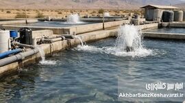 اقتصاد دریا محور؛ رسالت راهبردی شوراهای شهر در توسعه پایدار سواحل