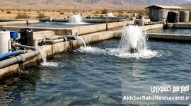 تکثیر مجدد تاسماهی ایرانی دریایی؛ جهش بزرگ در احیای ذخایر