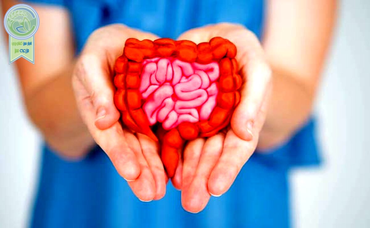 تا به حال به سلامت روده خود فکر کرده‌اید؟


