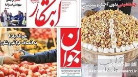 از ارز ترجیحی تا آجیل دو میلیونی؛ روایتی مشترک از بحران مواد غذایی در روزنامه‌های امروز ایران
