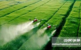نجات مزرعه در بحران کمبود ارز: راهنمای جامع بهینه‌سازی مصرف کودهای شیمیایی