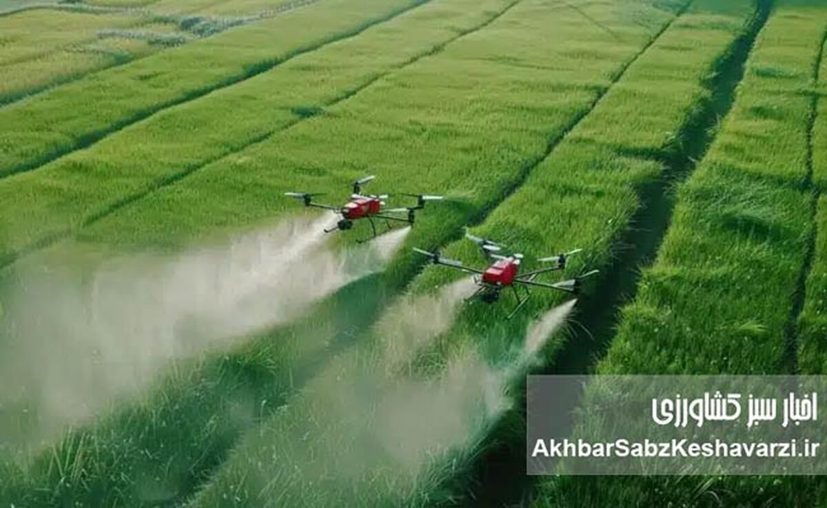 نجات مزرعه در بحران کمبود ارز: راهنمای جامع بهینه‌سازی مصرف کودهای شیمیایی
