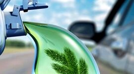 زیست پالایشگاه‌ها حرکتی رو به جلو

