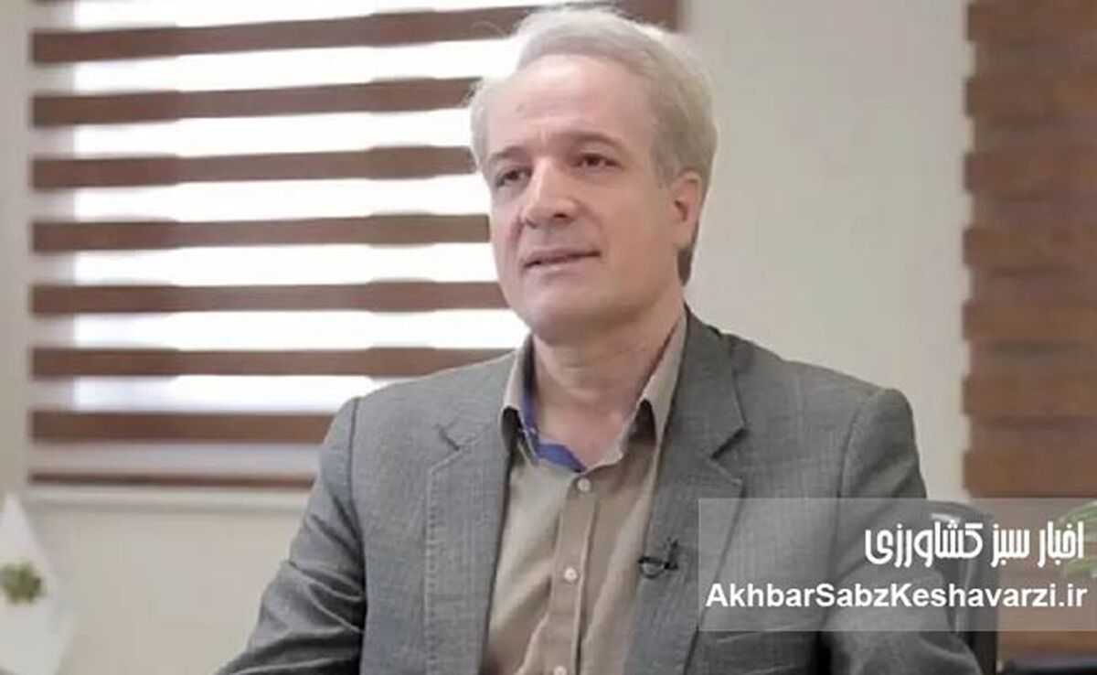 مرغ گران می‌شود یا نه؟ پاسخ صریح معاون وزیر به نگرانی مردم