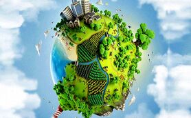 وقتی هنر در خدمت امنیت غذایی و توسعه پایدار است+ویدئو

