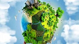 وقتی هنر در خدمت امنیت غذایی و توسعه پایدار است+ویدئو


