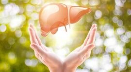 با این راهکار یک کبد صفر کیلومتر تحویل بگیرید