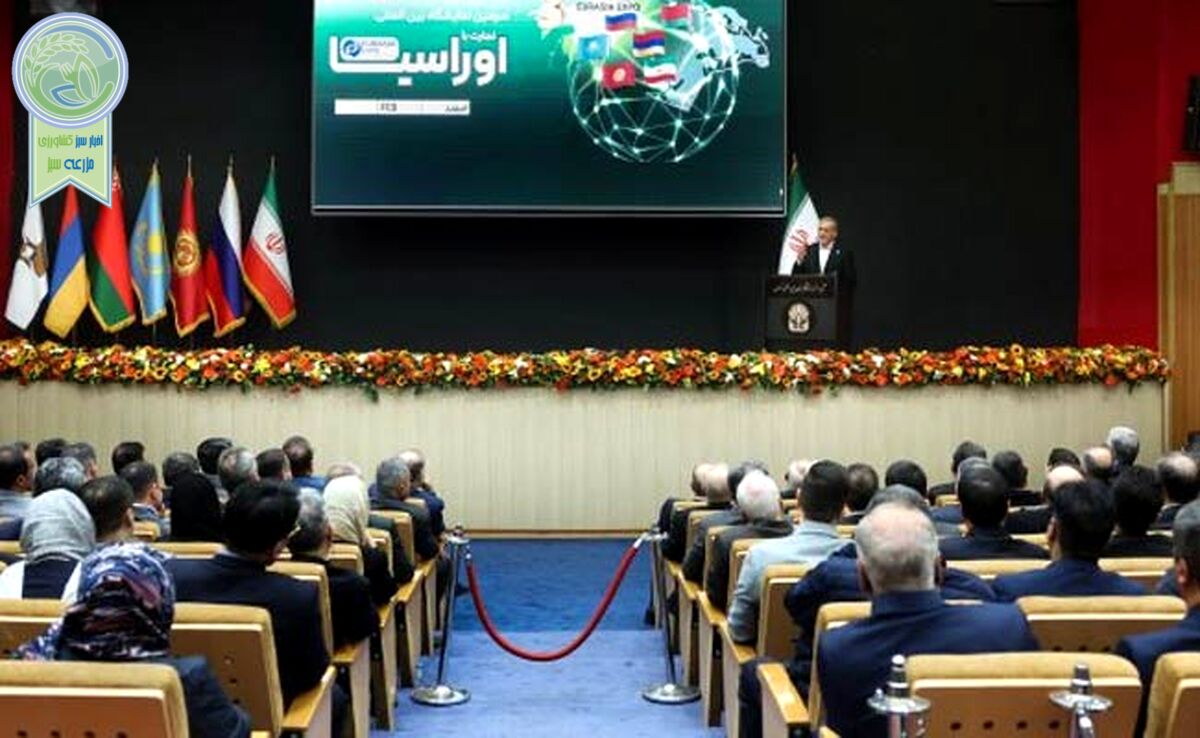 برای تفاهم‌نامه‌های بانکی و پولی مشترک آماده هستیم/ کریدورهای مناسب دسترسی از طریق ایران

