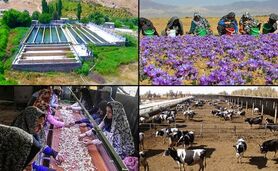 هفته دولت ۷۹ پروژه توسط تعاون روستایی افتتاح و کلنگ‌زنی می‌شود

