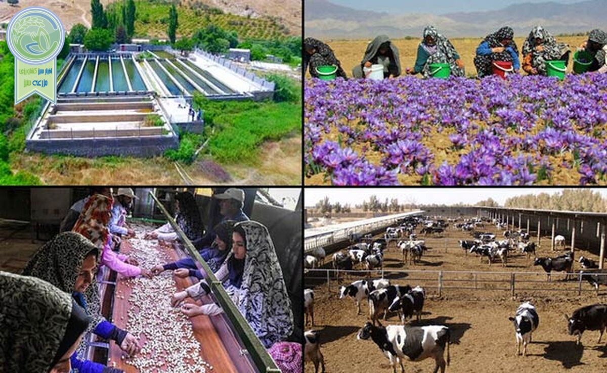 هفته دولت ۷۹ پروژه توسط تعاون روستایی افتتاح و کلنگ‌زنی می‌شود

