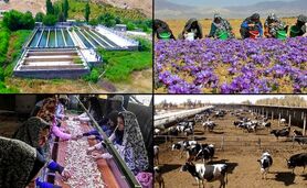 هفته دولت ۷۹ پروژه توسط تعاون روستایی افتتاح و کلنگ‌زنی می‌شود

