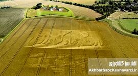 ماست‌مالیزاسیون در سیاست؛ پشت پرده زدوبندهایی که سرنوشت امنیت غذایی را گروگان گرفته است