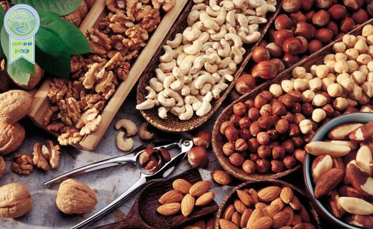 قیمت انواع آجیل و خشکبار در میادین میوه و تره‌بار چند؟

