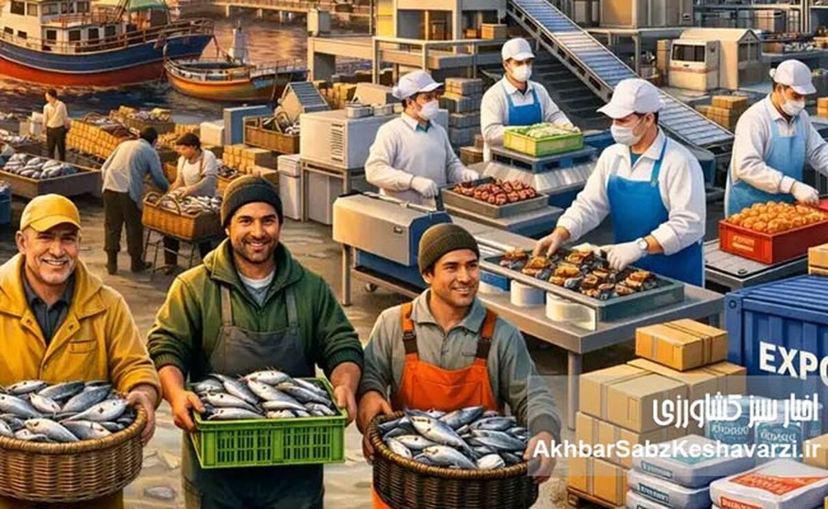 درخواست شیلات برای بازنگری در هزینه صدور گواهی حمل بچه‌میگو