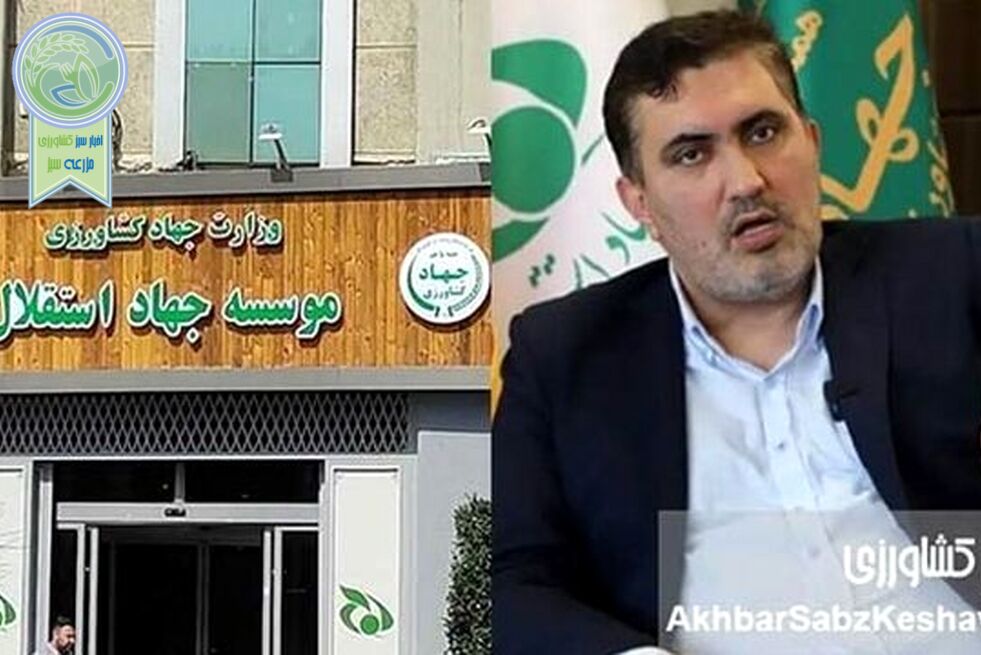 تحقیق و تفحص فوری مجلس؛ تنها راه افشای شبکه پنهان فساد در جهاد استقلال