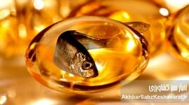 راز طول عمر ژاپنی‌ها فاش شد: فواید شگفت‌انگیز زردچوبه و روغن ماهی