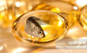 راز طول عمر ژاپنی‌ها فاش شد: فواید شگفت‌انگیز زردچوبه و روغن ماهی