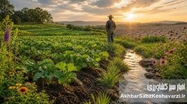 بایوکراسی؛ چارچوبی نوین برای تقویت تاب‌آوری محیط‌زیست و امنیت غذایی در عصر تغییرات اقلیمی