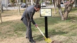 روز درختکاری، فرصتی برای تجدید پیمان بانک کشاورزی با طبیعت و توسعه پایدار
