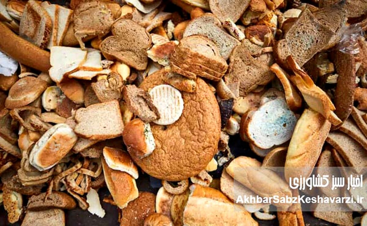 ۲۰ هزار میلیارد تومان خسارت ضایعات نان؛ جهاد کشاورزی ورود کند