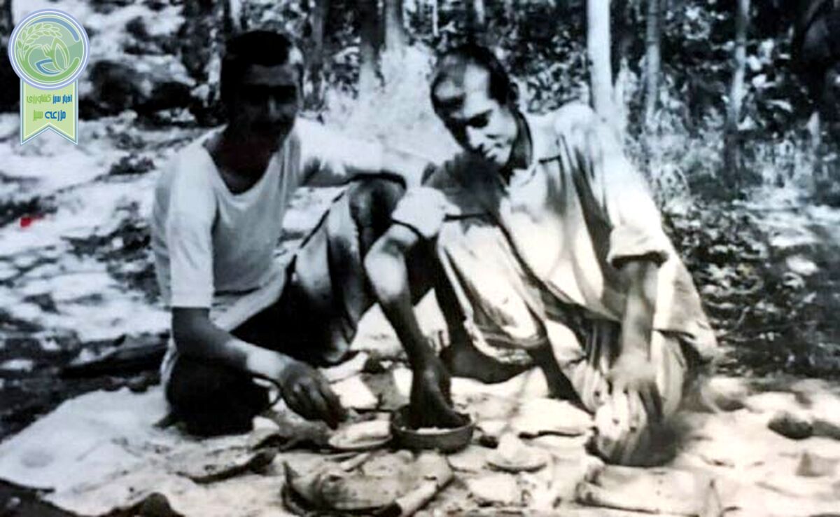 قصه دره جنی و گنجی که خدا رساند

