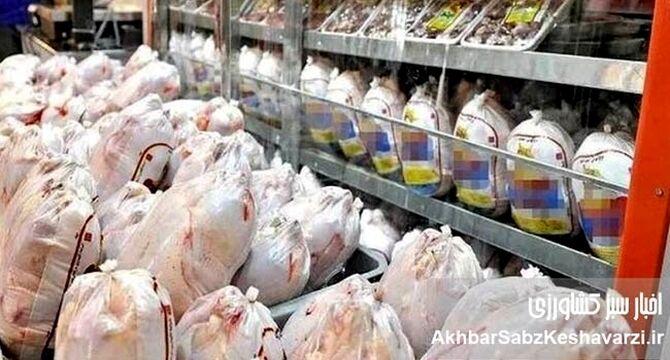 قیمت مرغ کاهشی شد؟ جدیدترین قیمت مرغ در بازار
