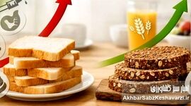 صبحانه‌ای که قند خون را منفجر می‌کند؛ نان سفید را کنار بگذارید