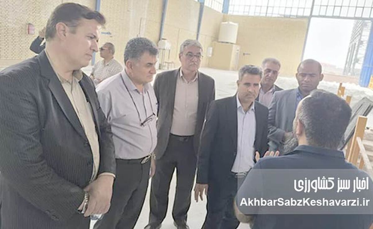 بازدید مهم از کیمیای سبز رفسنجان: آیا آینده کودهای ایران متحول می‌شود؟