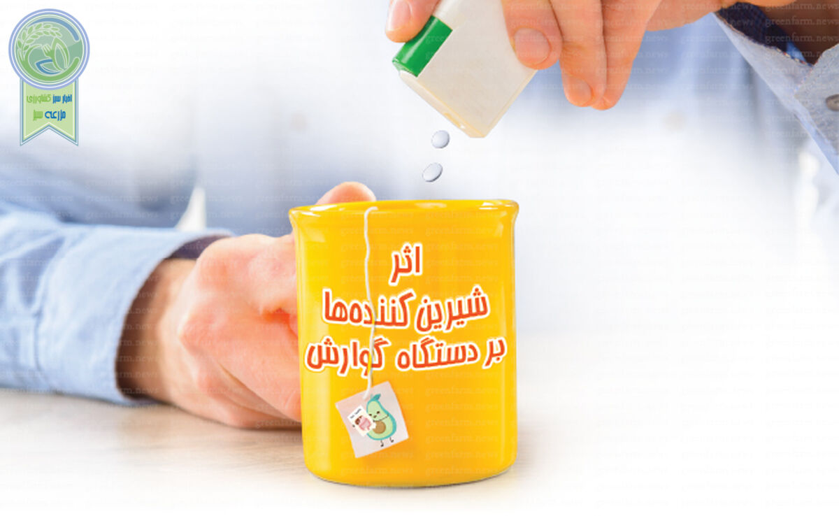 اثر شیرین‌کننده‌ها بر دستگاه گوارش

