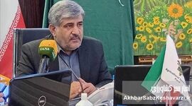مهندس اوسطی: طرح بیمه فراگیر گندم نقطه آغاز تحول بزرگ در کشاورزی