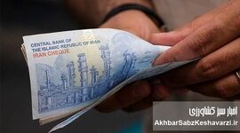 یارانه یک میلیون تومانی؛ نماد اقتصاد تحقیرشده