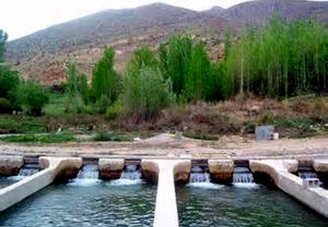 شناسنامه‌دار کردن مزارع چگونه صنعت آبزی‌پروری را متحول می‌کند؟