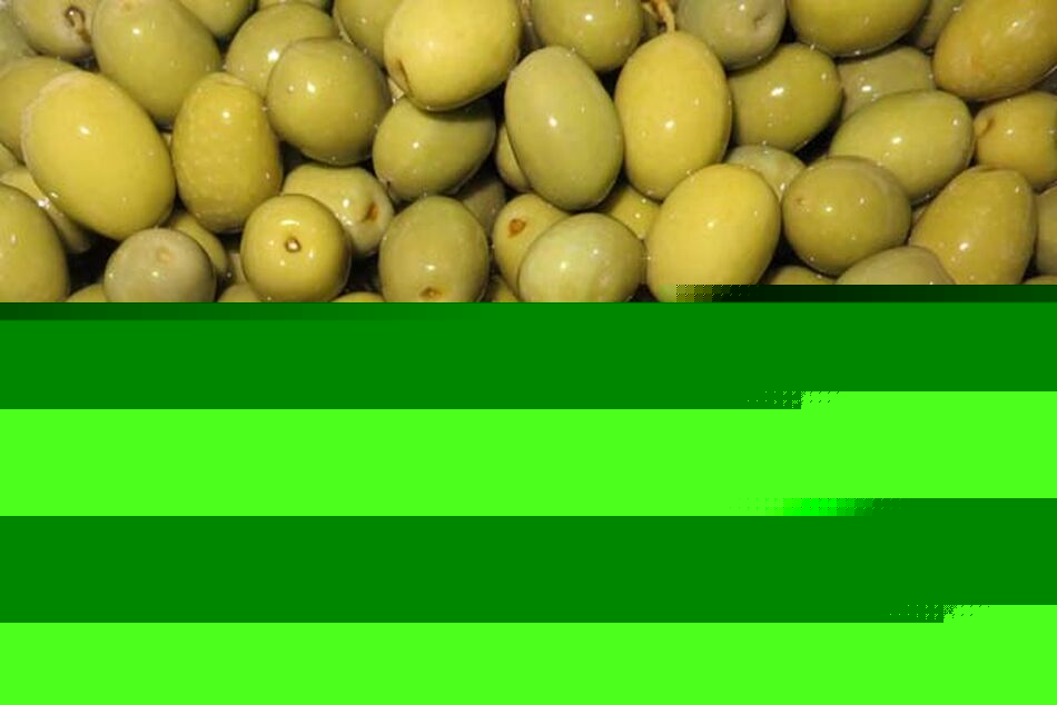 زیتون؛ میوه‌ای شگفت‌انگیز برای مقابله با سرطان

