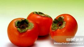 خرمالو؛ میوه‌ طلایی پاییز با خواص جادویی برای سلامتی و زیبایی