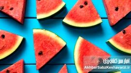 هندوانه را کی بخوریم؟ حقیقتی عجیب درباره بهترین زمان خوردن هندوانه