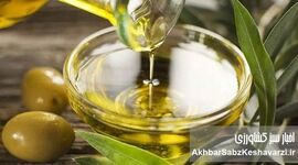 کسب مدال طلای جهانی؛ افتخاری ملی برای کیفیت روغن زیتون ایران