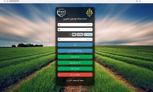 بحران سویاهای سمی در بازارگاه؛ چه کسی پاسخگوی مرگ دسته‌جمعی گاوهاست؟