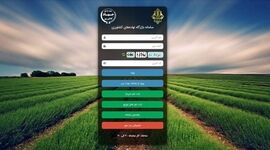 بحران سویاهای سمی در بازارگاه؛ چه کسی پاسخگوی مرگ دسته‌جمعی گاوهاست؟