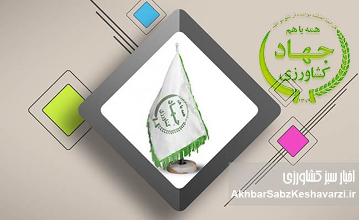 تا آن زمان که پرده در افتد چه‌ها کنند؟ افشای فساد و رانت در وزارتخانه