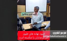 فریاد کشاورزان از گرانی نهاده و کمبود ذرت؛ بحران خاموش در انبارهای کشور+ ویدئو