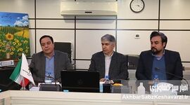 رونمایی از طرح بیمه فراگیر گندم؛ گامی تازه برای امنیت غذایی و حمایت از کشاورزان