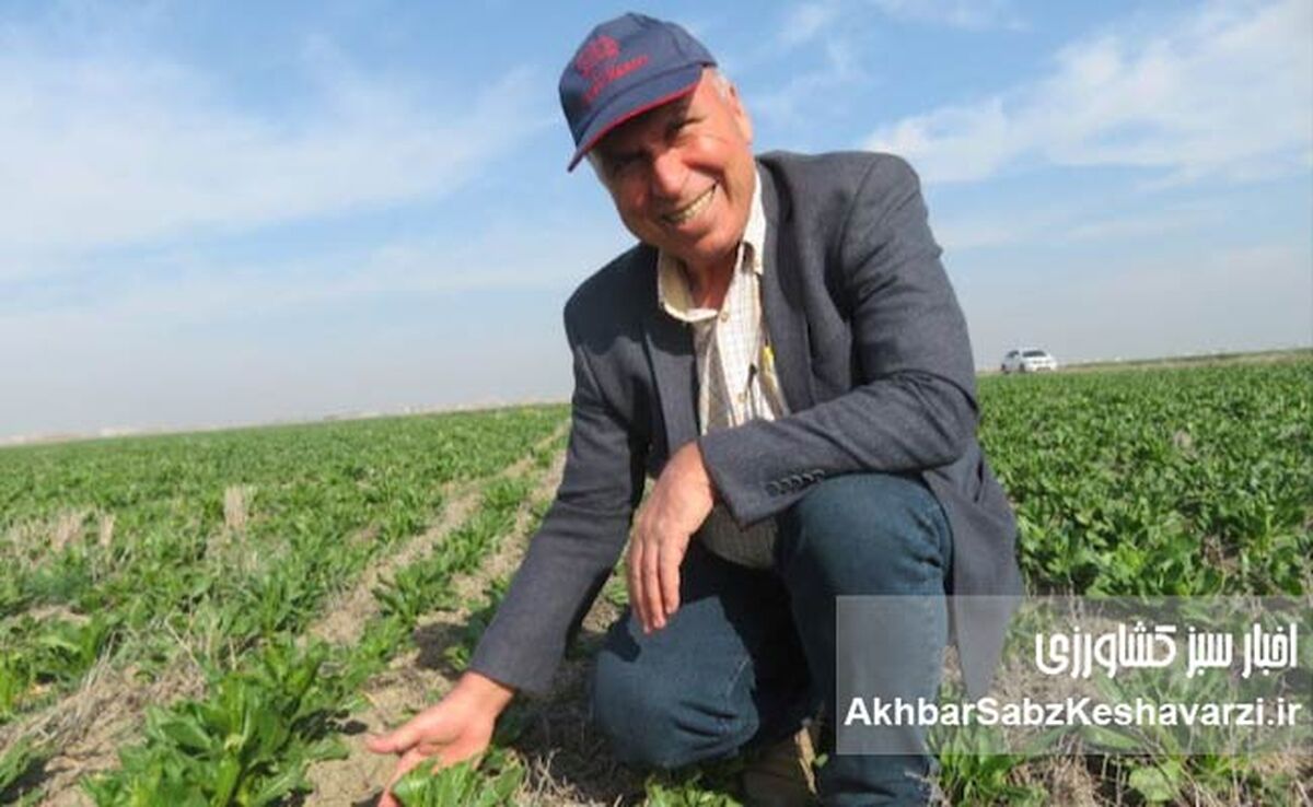 بهبود بهره‌وری اراضی دیم ایران با استفاده از سامانه بی‌خاک‌ورزی